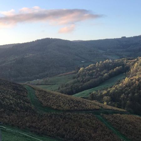 Ravissant Appartement Dans Cadre Verdoyant Marchampt Exteriér fotografie