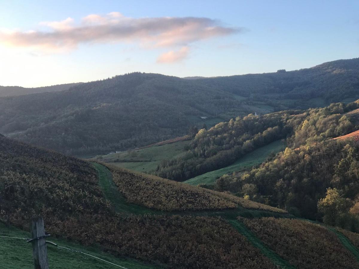 Ravissant Appartement Dans Cadre Verdoyant Marchampt Exteriér fotografie