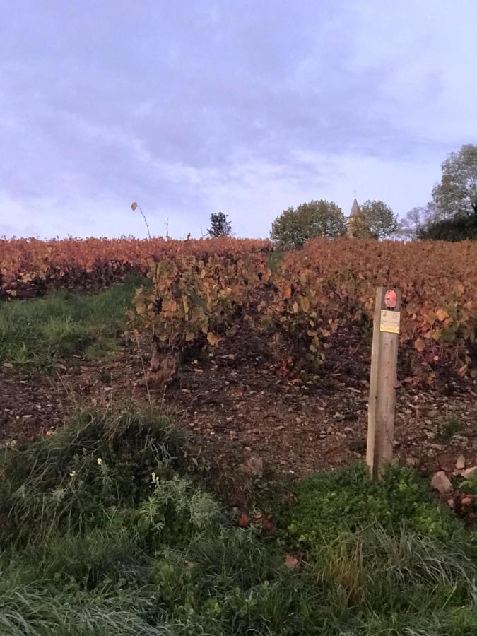 Ravissant Appartement Dans Cadre Verdoyant Marchampt Exteriér fotografie